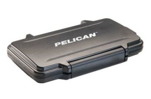 pelican-0915-2