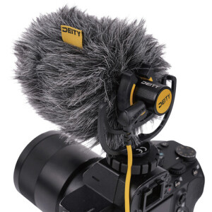 Deity V-Mic D4.